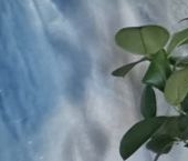 Продать Квартиры вторичка Днепропетровская улица, 3   