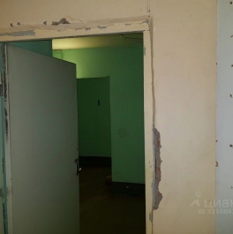 Продажа ПСН Рыбацкий пр-кт,  д. 37,  к. 1