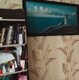 Аренда 1-комн квартиры на вторичном рынке проезд Досфлота, 1