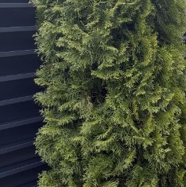 Продажа дома Бриллиант кп, улица Центральная Продажа дома Бриллиант кп, улица Центральная