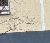 Сдать в аренду Квартиры вторичка Сахалинская улица, 7К2   