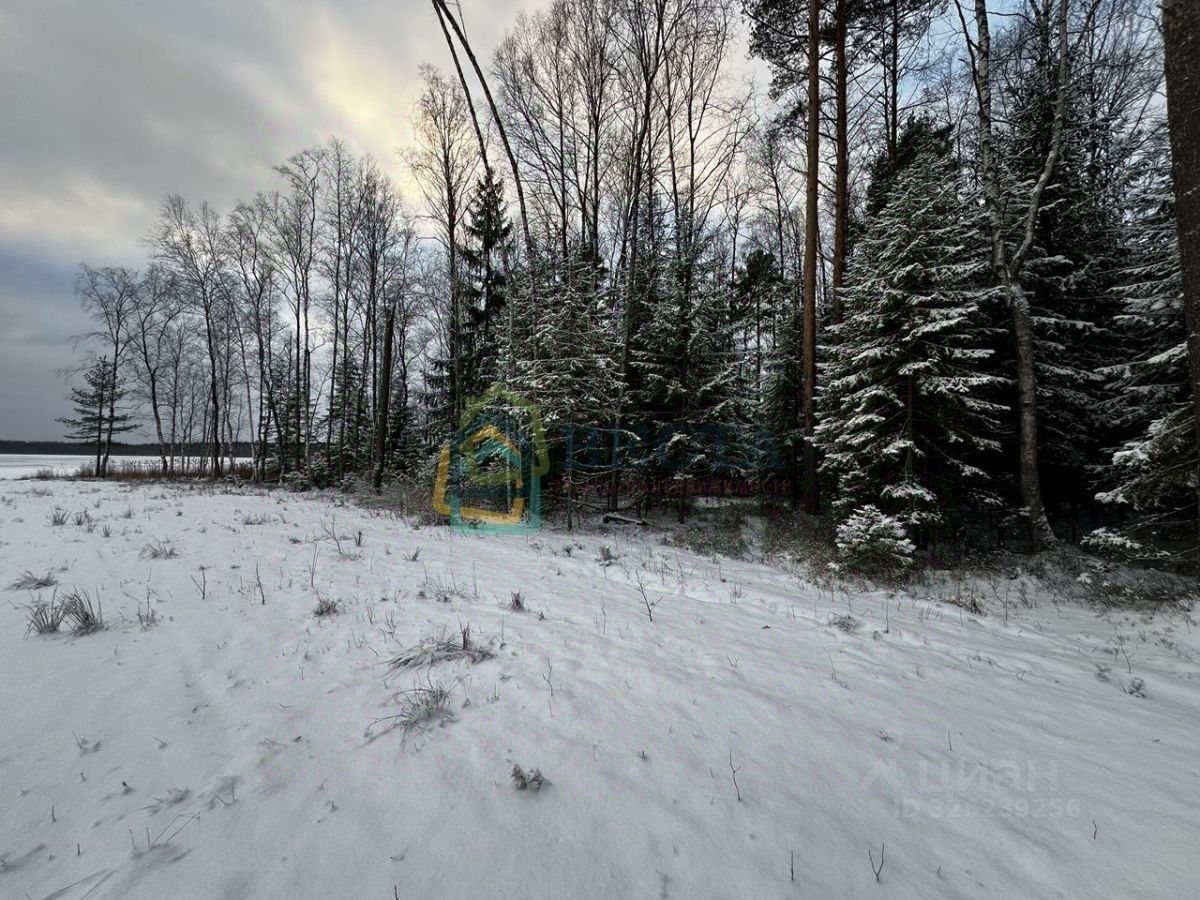 Продажа земли Экофорест кп, улица Ручейная