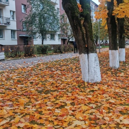 2-комн квартира Дубровка пгт, улица Ленинградская, 8