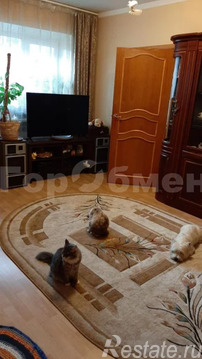 Продажа 2-комн квартиры на вторичном рынке Электроугли, ул. Школьная,  д. 32
