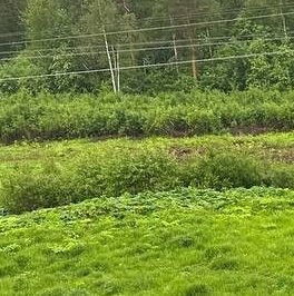 Продажа 2-комн квартиры на вторичном рынке пос. Парголово, улица Тихоокеанская, 18к4 Продажа 2-комн квартиры на вторичном рынке пос. Парголово, улица Тихоокеанская, 18к4