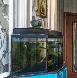 Продажа 3-комн квартиры на вторичном рынке улица Турку, 13к1