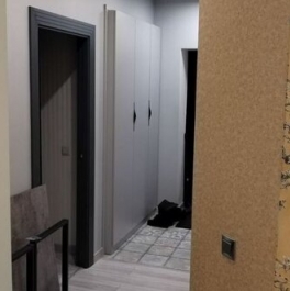 Аренда 3-комн квартиры на вторичном рынке ул Ефремова,  д. 16/12