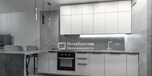 1-комн квартира Новолитовская улица,  д. 10