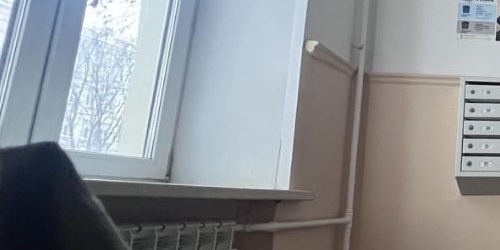 2-комн квартира Нижняя Первомайская улица, 10