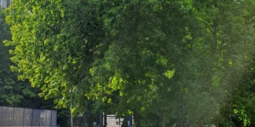 3-комн квартира 50 лет Октября ул,  д. 5,  к. 3