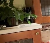 Продать Квартиры вторичка Ленинградский проспект, 67к1   