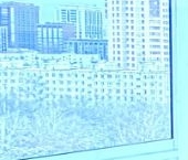 Сдать в аренду Квартиры вторичка улица Дыбенко, 6К3   