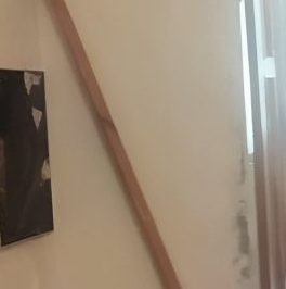 Аренда 3-комн квартиры на вторичном рынке Будапештская улица, 104К1 Аренда 3-комн квартиры на вторичном рынке Будапештская улица, 104К1