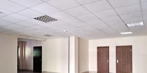 1-комн квартира Павловск г., Лебединая ул. ,  д. 1