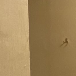 Продажа 3-комн квартиры на вторичном рынке Красногорск, улица Народного Ополчения, 21