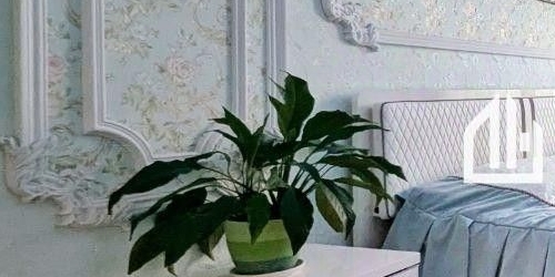 3-комн квартира улица Жукова, 3