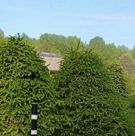 Продажа земли Центральный СНТ