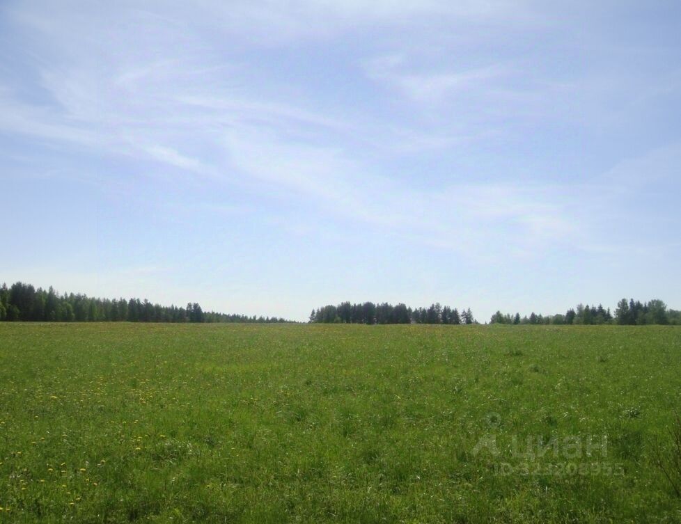 Продажа земли Толмачево городской поселок