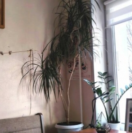 Продажа 2-комн квартиры на вторичном рынке ул Живописная,  д. 17,  к. 2