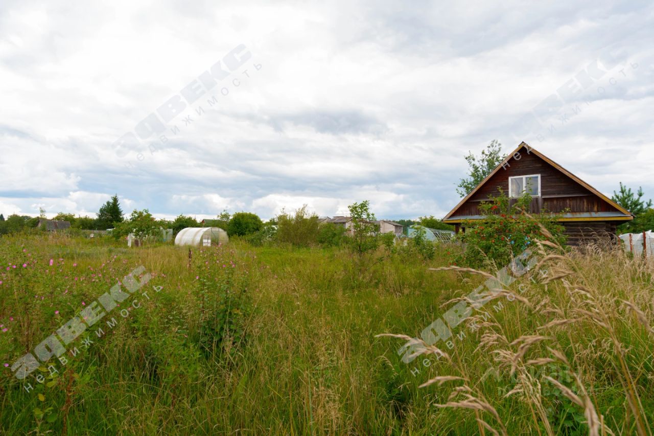 Продажа земли д. Трубников Бор, улица Мира, 25В