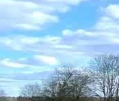 Продать Земельные участки, земля д. Усадище, 132   