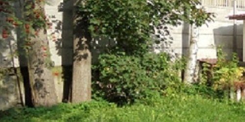 Коттедж/дом пос. Лисий Нос, Высокая улица