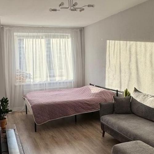 1-комн квартира Пискаревский пр-кт,  д. 27,  к. 2