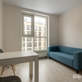 Аренда 1-комн квартиры на вторичном рынке Лиговский пр-кт,  д. 232,  к. 1