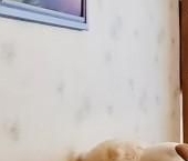 Продать Квартиры вторичка проспект Маршала Жукова, 56К1   