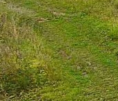 Продать Дачи, коттеджи, загородные дома д. Малое Кикерино, улица Новая   