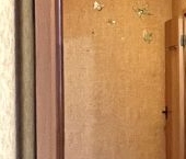 Сдать в аренду Квартиры вторичка Рекинцо-2 мкр, улица Молодежная  1 