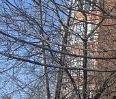 Продать Квартиры вторичка Подольск, Колхозная улица, 18   