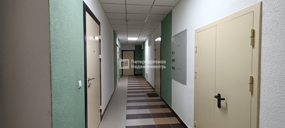 Аренда студии поселок Парголово, поселок Парголово, ул Брюлловская, д 5 к 1