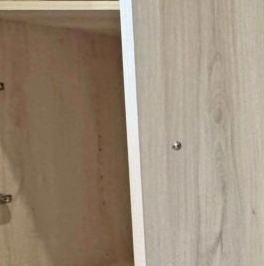 Аренда 1-комн квартиры на вторичном рынке шоссе Фрезер, 17АС1