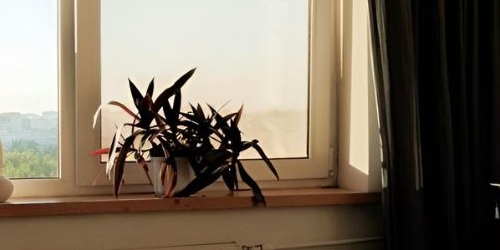 1-комн квартира проспект Маршала Жукова, 54к1