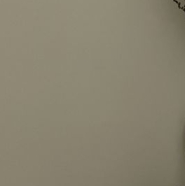 Аренда 1-комн квартиры на вторичном рынке д. Раздоры, улица Липовой Рощи, 1к1