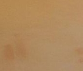 Сдать в аренду Квартиры вторичка Коммунар г., улица Садовая, 6   