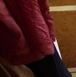 Продажа земли пос. Репино, Железнодорожная улица, 7а