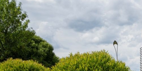 Студия улица Отважных, 10