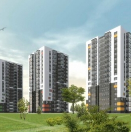 Продажа 2-комн квартиры на вторичном рынке Старая д, Иоанна Кронштадтского ул,  д. 9
