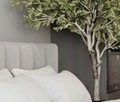 Сдать в аренду Квартиры вторичка Петровский проспект, 9к2   