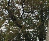 Продать Квартиры вторичка 1-й Войковский проезд, 14   