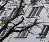 Сдать в аренду Квартиры вторичка Дмитровское шоссе, 27К2   