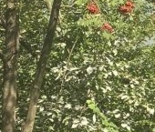 Продать Квартиры вторичка Некрасовский пгт, улица Заводская, 30   