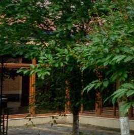 Продажа дома Сестрорецк, Разлив СНТ, дорожка 23-я, 30/21