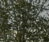 Продать Квартиры вторичка Мичуринский проспект, 56   