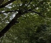 Продать Квартиры вторичка улица Маршала Захарова, 10К2   