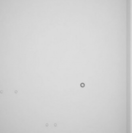 Продажа 2-комн квартиры на вторичном рынке Прокшинский пр-кт,  д. 7