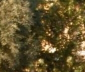 Продать Дачи, коттеджи, загородные дома Павлово пгт, улица Набережная реки Невы, 3   