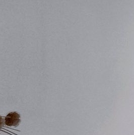 Продажа дома д. Манушкино, улица Родниковая, 6